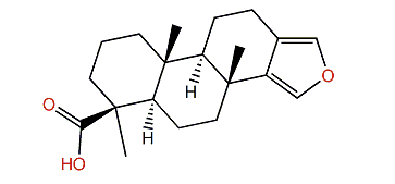 Spongia-13(16),14-dien-19-oic acid